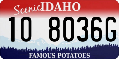 ID license plate 1O8036G