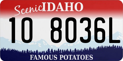 ID license plate 1O8036L