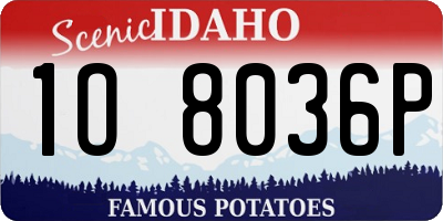 ID license plate 1O8036P