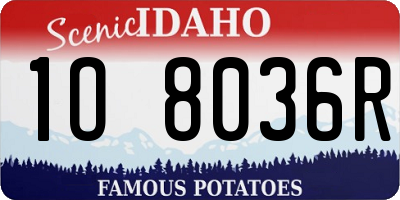 ID license plate 1O8036R
