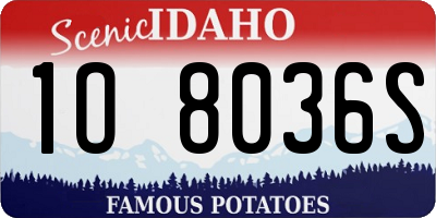 ID license plate 1O8036S