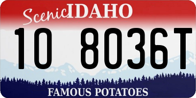 ID license plate 1O8036T