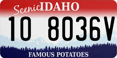 ID license plate 1O8036V