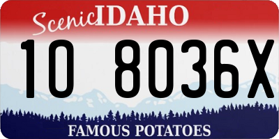 ID license plate 1O8036X
