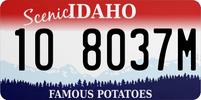 ID license plate 1O8037M