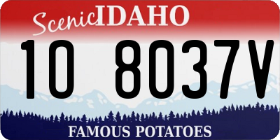 ID license plate 1O8037V
