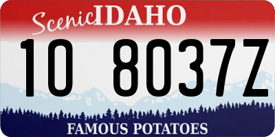 ID license plate 1O8037Z