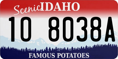 ID license plate 1O8038A