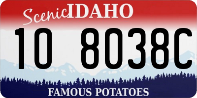 ID license plate 1O8038C