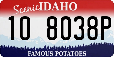 ID license plate 1O8038P