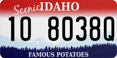 ID license plate 1O8038Q