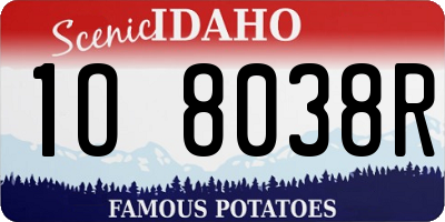 ID license plate 1O8038R