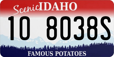 ID license plate 1O8038S