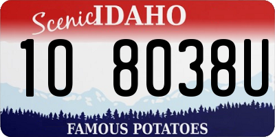 ID license plate 1O8038U