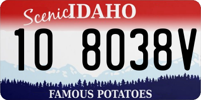 ID license plate 1O8038V