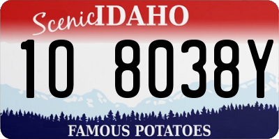 ID license plate 1O8038Y