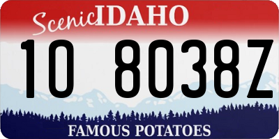 ID license plate 1O8038Z