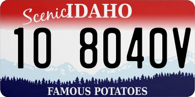 ID license plate 1O8040V