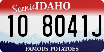 ID license plate 1O8041J