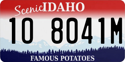 ID license plate 1O8041M