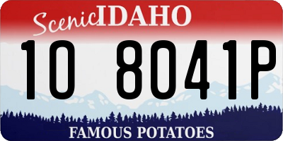 ID license plate 1O8041P