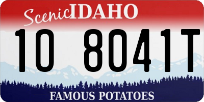 ID license plate 1O8041T