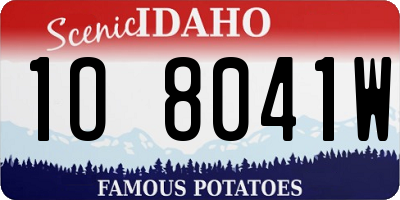 ID license plate 1O8041W