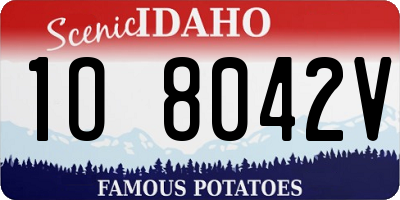 ID license plate 1O8042V