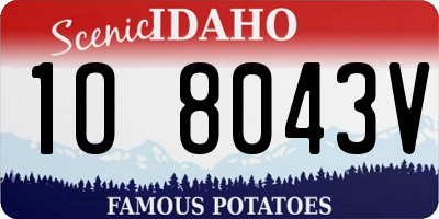 ID license plate 1O8043V