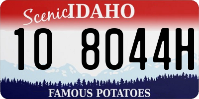 ID license plate 1O8044H