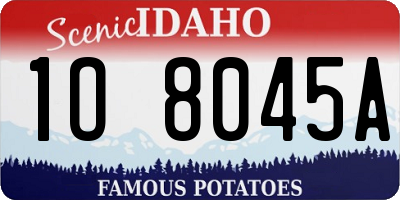 ID license plate 1O8045A