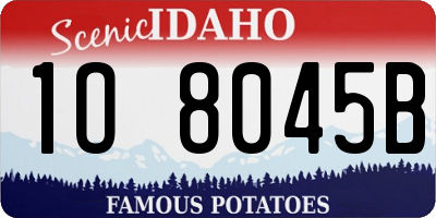 ID license plate 1O8045B