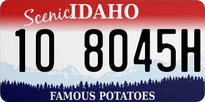 ID license plate 1O8045H