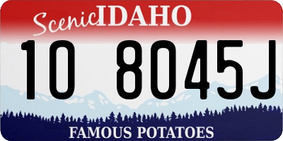 ID license plate 1O8045J