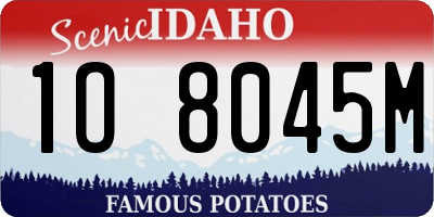 ID license plate 1O8045M