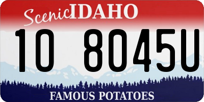 ID license plate 1O8045U