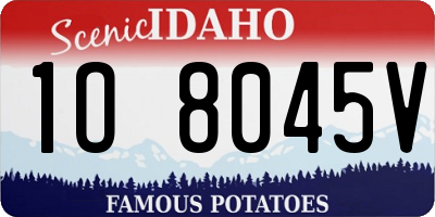 ID license plate 1O8045V