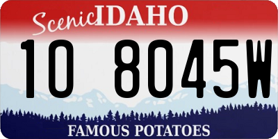 ID license plate 1O8045W