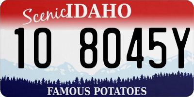 ID license plate 1O8045Y