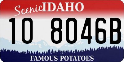 ID license plate 1O8046B
