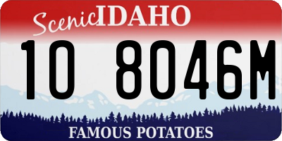 ID license plate 1O8046M