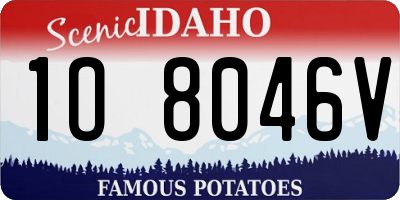 ID license plate 1O8046V