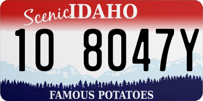 ID license plate 1O8047Y