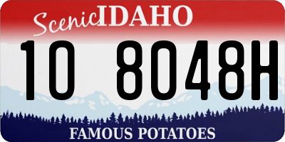 ID license plate 1O8048H