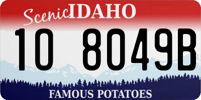 ID license plate 1O8049B