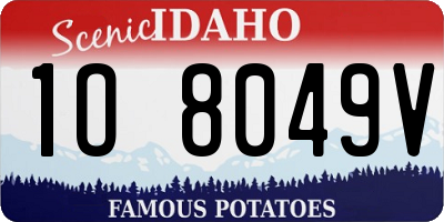 ID license plate 1O8049V