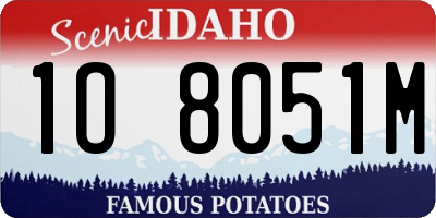 ID license plate 1O8051M