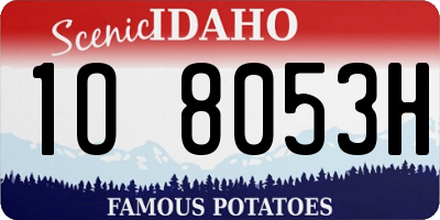 ID license plate 1O8053H