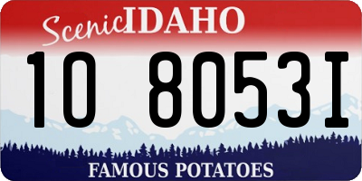 ID license plate 1O8053I