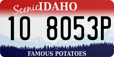 ID license plate 1O8053P